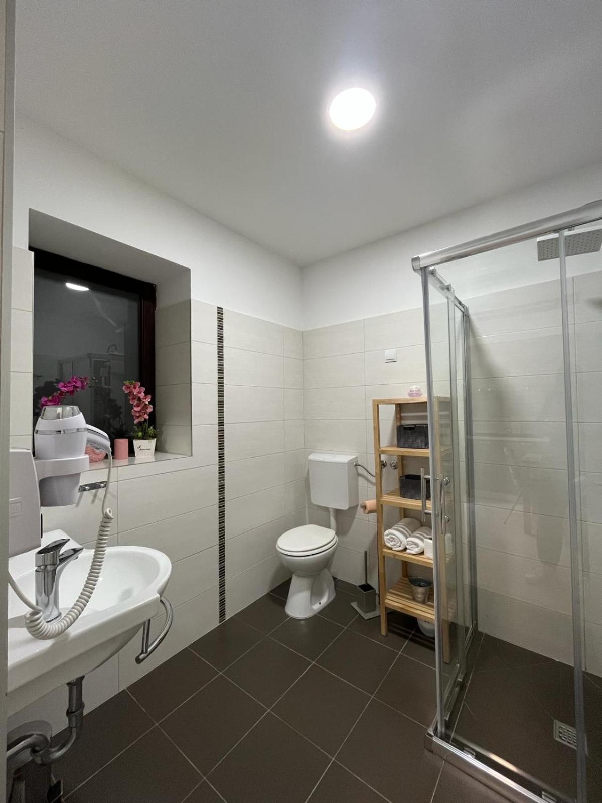 Arena Apartment